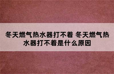 冬天燃气热水器打不着 冬天燃气热水器打不着是什么原因